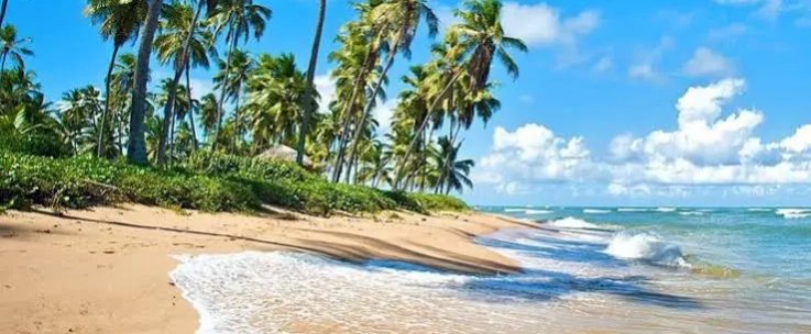 Praia do Forte