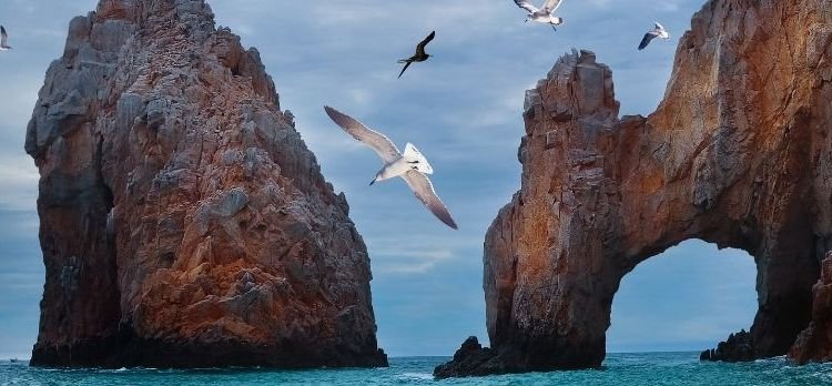 Los Cabos