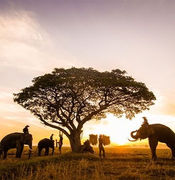Africa