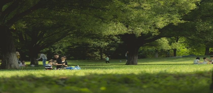 Conocer las ciudades asiaticas