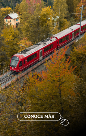 Trenes