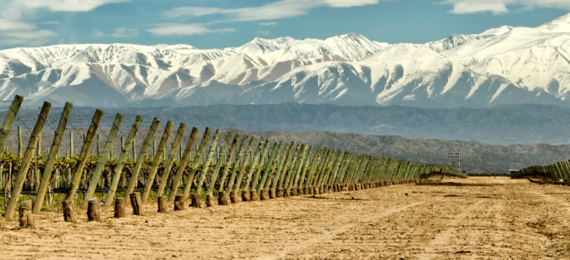 Buenos Aires y Mendoza: Degustando el Malbec