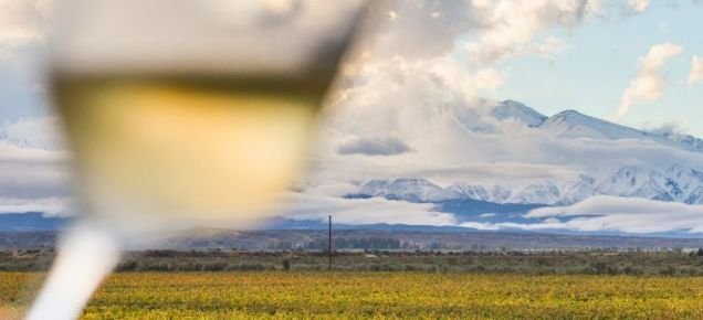 Ciudades y Vinos (10 días/ 9 noches)