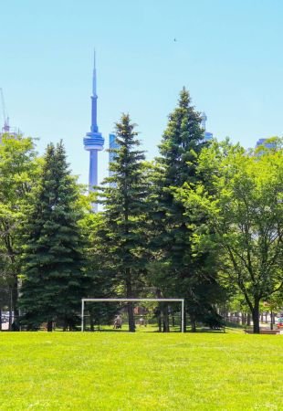 VIVE EL MUNDIAL EN TORONTO 2026