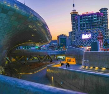 Corea Multicolor 2026