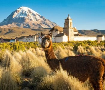 Bolivia Especial 5 Dias 4 Noches
