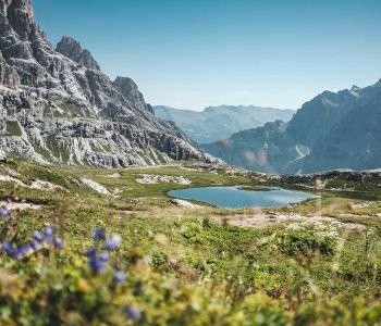 Paisajes de Suiza, Alpes y Alemania 2026