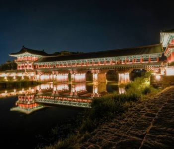 Latidos de Corea 2026