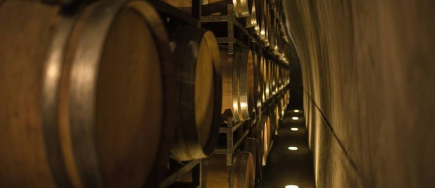 Ruta del Vino Argentina 2026