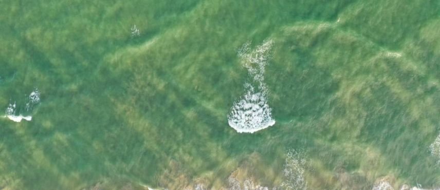 PORTO DE GALINHAS: PISCINAS NATURALES Y RELAX 2026