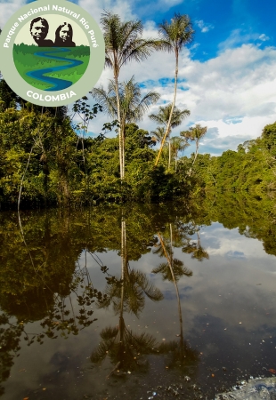Parque Nacional Natural Río Puré - CTM En Línea | DMC y Mayorista de ...