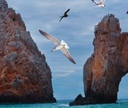 Los Cabos