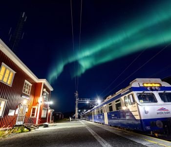 THE ARCTIC TRAIN