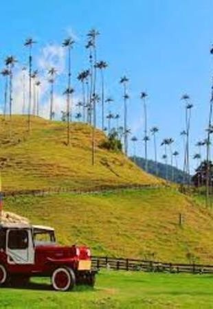 BOGOTÁ Y LA ZONA CAFETERA 2025