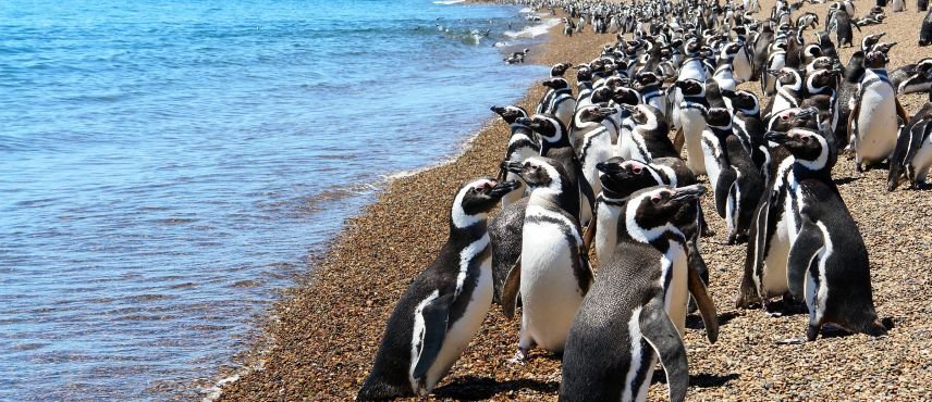 Puerto Madryn