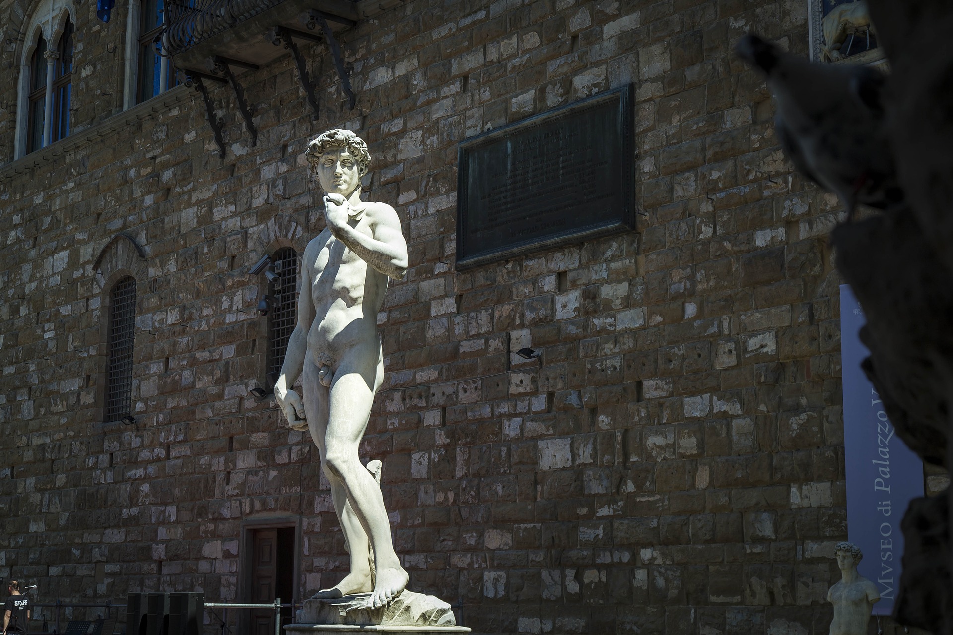 David