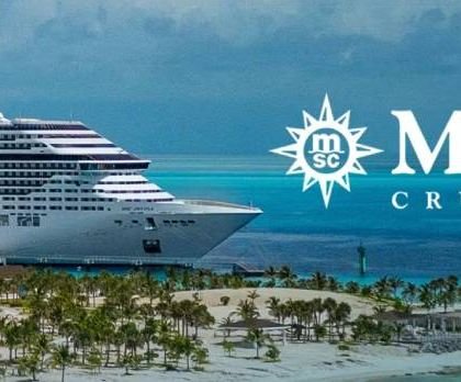 Guía Rápida MSC