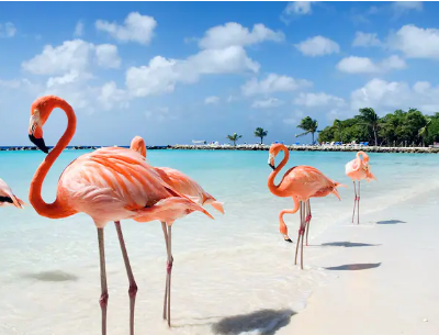 Destinos de Playa