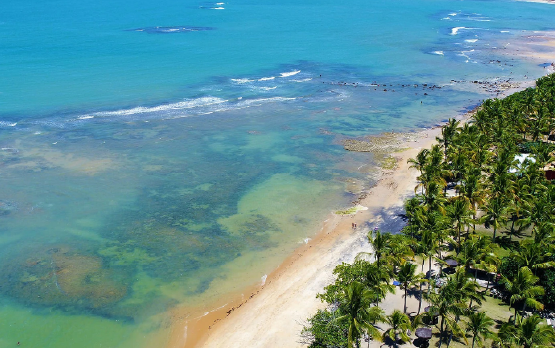 Porto Seguro Abril / Junio con Gol