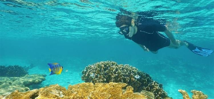 Todo Incluido Costa Rica 2026 