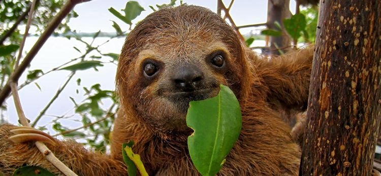 Costa Rica Aventura 2026