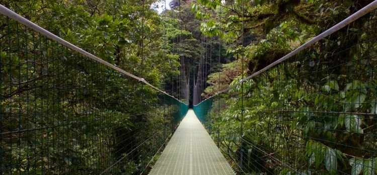 Costa Rica: Del Caribe al Pacífico 2026