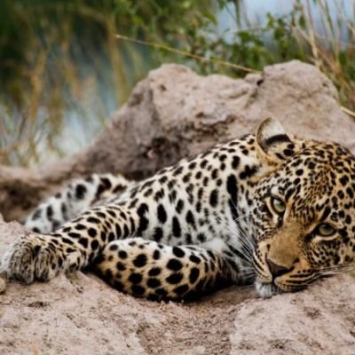 Classic Safari | Migraciones y Etnias