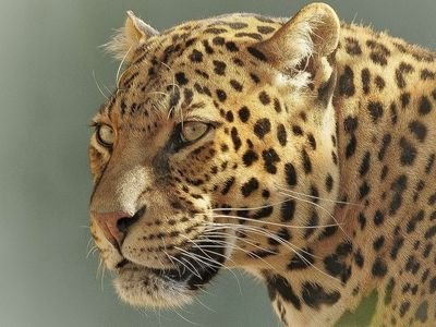 Kruger National Park