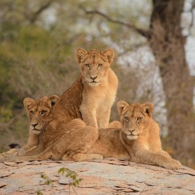 Spectacular South Africa