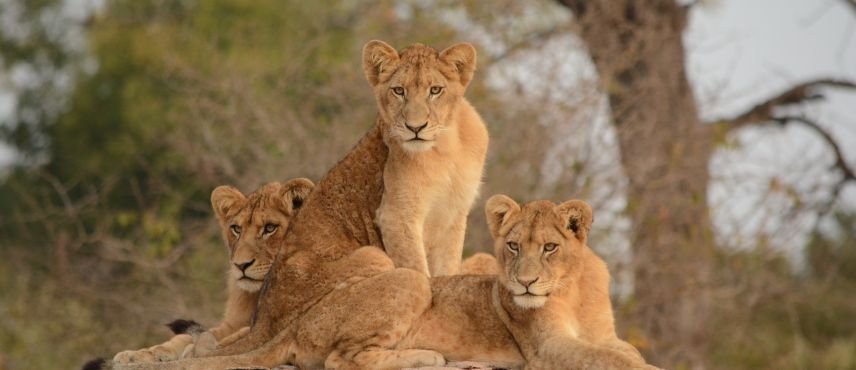 Spectacular South Africa