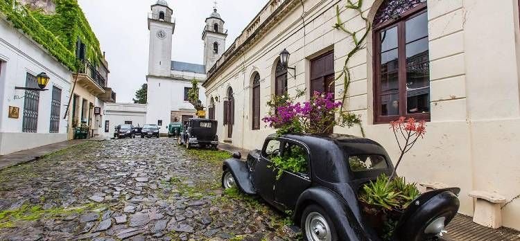 Colonia todo el año