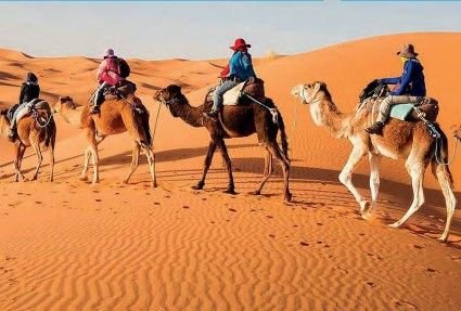 Gran Tour desde Casablanca - Exotic Tours & Travel - ⬅️Click aquí -