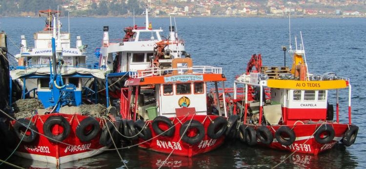 Castilla, Galicia y Portugal - VPT Tours - ⬅️Click aquí -