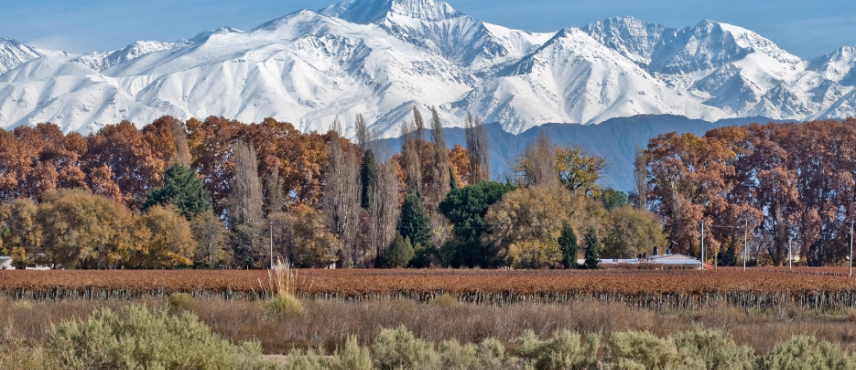 Mendoza