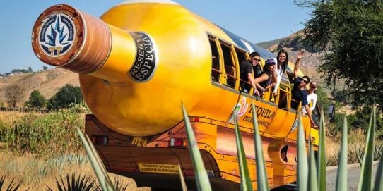 México Virreinal fin en Guadalajara 2023 7 días