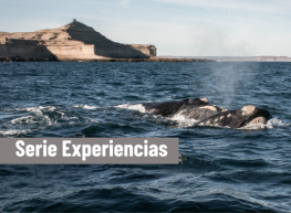 Buenos Aires & Puerto Madryn Full (AV)