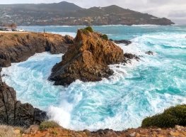 Viñas y buena cocina VIP 2026 