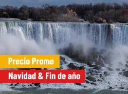 Exótico Invierno  Básico (navidad & fin de año)  2025 (GT)