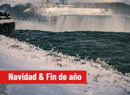 Exótico Invierno  Básico (navidad & fin de año)  2025 (GT)