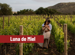 Luna de miel en Baja California 2026 