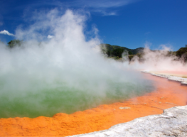 Nueva Zelanda Clásica 2025 -2026 (PP) 