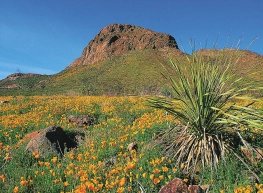 Escápate a El Paso (outdoors) 2025 (SM)