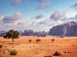 Jordania Fascinante con desierto y mar muerto (JE) 2026- 2027