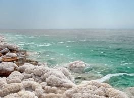 Jordania con Mar Muerto (JE) 2026- 2027