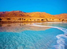 Nabateos y el mar rojo (JE) 2026- 2027