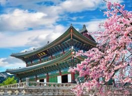 Mikatour Ninja 2026 – 2027  (IB) 