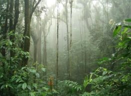 Costa Rica Sensacional 2026 