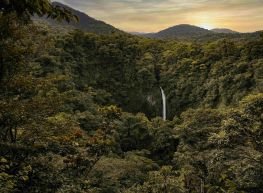 Selvas, playas y volcanes 2026 