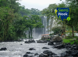 Escena Veracruz 2026 