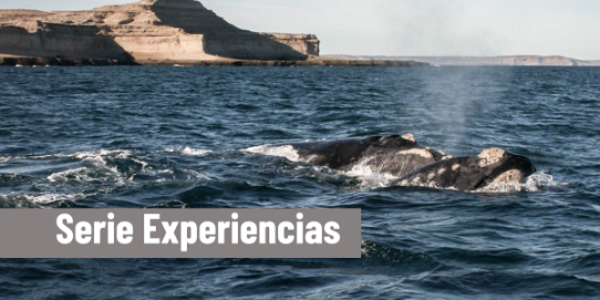 Buenos Aires & Puerto Madryn Full (AV)